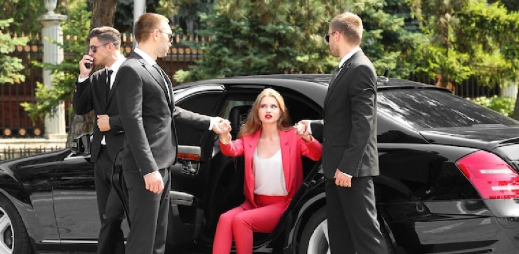 Celebrity Security
